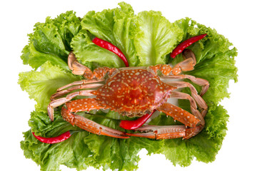 Steamed blue swimming crab, Flower crab, Blue crab (Portunus pelagicus) and spicy sauce isolated on white background.