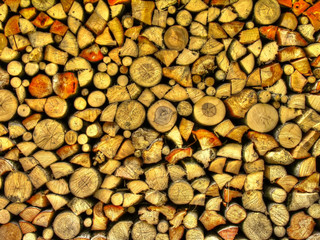 Firewood