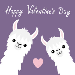 Happy Valentines Day. Llama alpaca animal set. Face neck. Pink heart. Fluffy hair fur. Cute cartoon funny kawaii baby character. Love greeting card. Flat design. Violet background
