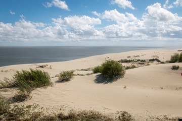 Landscape by the sea with sand dunes, blue sea, white clouds and green bushes