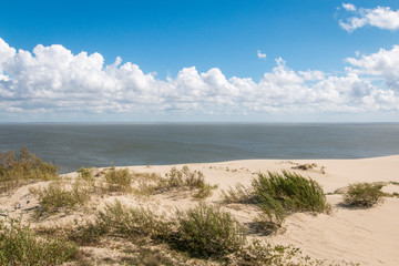 Landscape by the sea with sand dunes, blue sea, white clouds and green bushes