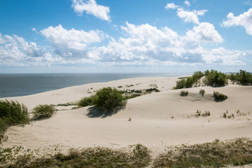 Landscape by the sea with sand dunes, blue sea, white clouds and green bushes