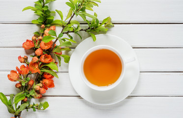 Cup of green tea on white wooden background