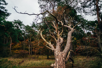 Strand in Ludwigsburg im Herbst
