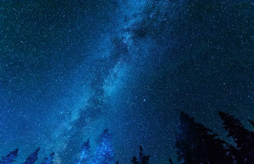 Fototapeta na wymiar Bright night starry sky with millions of stars and galaxy Milky Way.