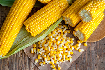 Ripe golden corn on wooden background