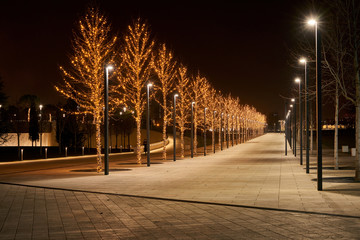 Night alley with high level lanterns and trees decorated with festive - New Year and Christmas - LED lighting.