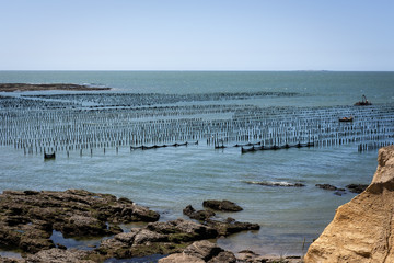 Parc à moules à Pénestin en Bretagne
