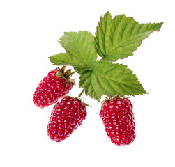 ripe raspberry with green leaf isolated on white background