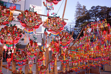 宇都宮市　宇都宮二荒山神社　花市
