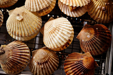 Scallops on grille 