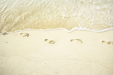 Footprints in the sand along the edge of the sea