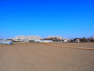 冬の近郊の田圃風景