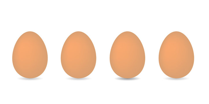 eggs in a row- vector illustration