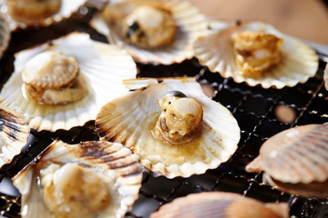 Grilled scallops, seafood BBQ 