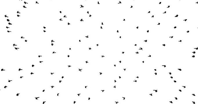 People silhouettes on white, great design for any purposes. Happy silhouette.