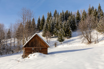 Landscape with Romanian traditional village in a winter day