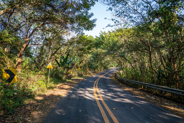 Empty asphalt road in jungle forest. Rural countryside road in Thailand. Travel roads summer trips concept
