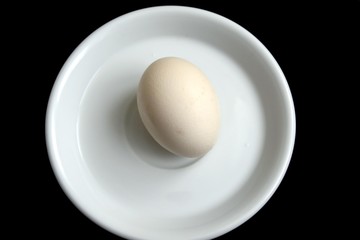 egg