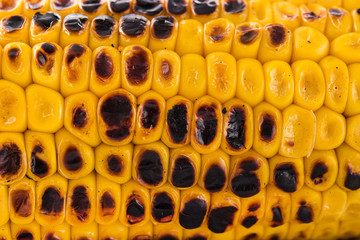 Close up of Grilled sweet corn      © chandlervid85