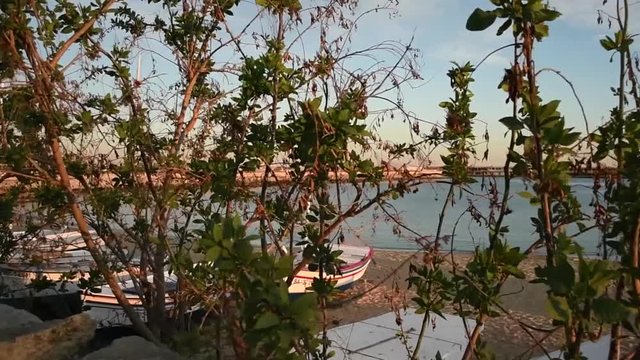 Group of fishing boat in the beach.