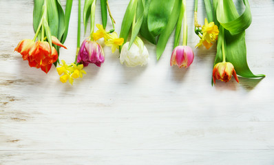 Frühling, Ostern, Osterglocken, Narzissen, auf Holz, Tulpen, Textraum, copy space
