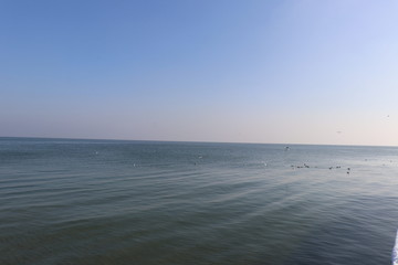 Calm Black Sea 3