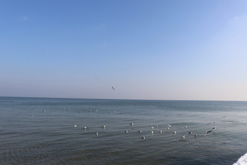 Calm Black Sea 2