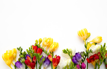 Spring background. Beautiful spring freesia flowers on a white background. Place for text, close-up. Romantic background for spring holidays.