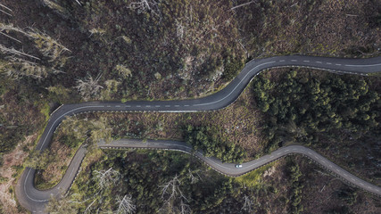 Aerial view of industrial deforestation area in Romania. Forest destroyed above from a drone