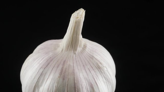 Raw garlic close up