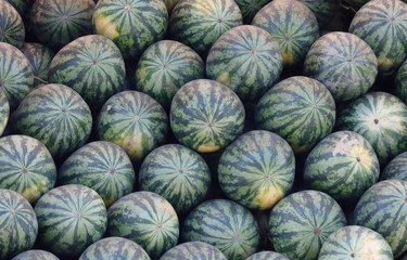 Fototapeta na wymiar Water melon selling in market