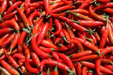 Hot chilli selling in market