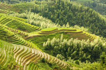Longsheng rice terraces landscape in Guilin China