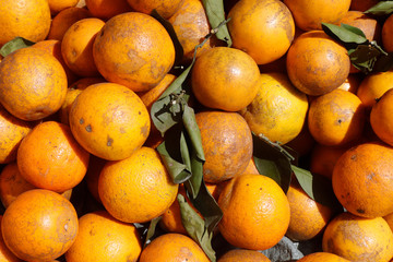 Tangerine selling in market