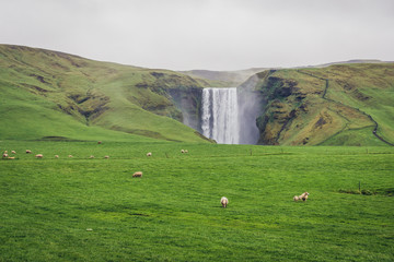 Distance view of famous Skogafoss waterfall located in south part of Iceland