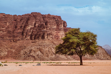 Red mountains of the canyon of Wadi Rum desert in Jordan. Wadi Rum also known as The Valley of the Moon is a valley cut into the sandstone and granite rock in southern Jordan to the east of Aqaba.