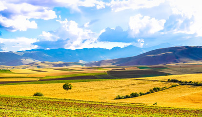 Fototapeta premium Panoramic background of beautiful yellow-green fields with blue sky and clouds - sunny day in Kahramanmaras, Turkey.