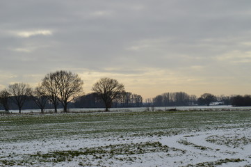 Naklejka premium Mittagssonne über einem verschneiten Feld am Niederrhein