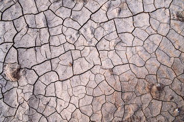 Cracked dried soil texture background