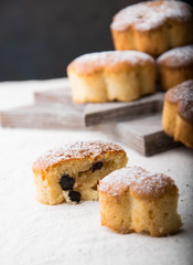 delicious muffin with raisins in the cut