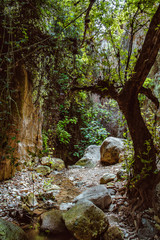 Stuck Hanging Stone in Avakas canyon. Akamas Peninsula landscape. Cyprus landmark