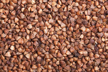 Brown buckwheat grain closeup texture. Healthy food pattern background.