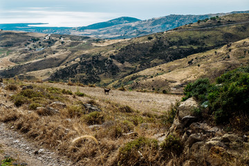 Aerial photo of Cyprus land close to Paphos, Cyprus showing agricultural patterns, hills, road and dry autumn landscape, this is the road to Troodos mountains used by tourists