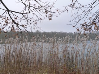 Wintersee