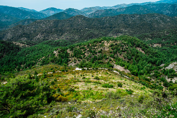 Troodos National Forest Park. Cyprus. Mountains covered forest on blue sky background. Top view. Tourist destination, tourism, travel, caravanning