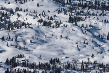 Fototapeta na wymiar Waldlandschaft im Winter mit viel Schnee