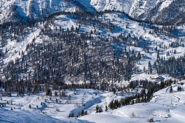 Winterlandschaft rund um die Steinplatte in Tirol