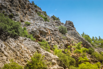 Mountain slope covered by green vegetation on blue sky background. 