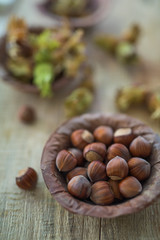 Close up view photo composition of just harvested whole hazelnuts with shells in a plate of dried leaves on the rustic wooden board. Selective focus. 2